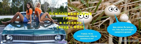 мдпв Богданович